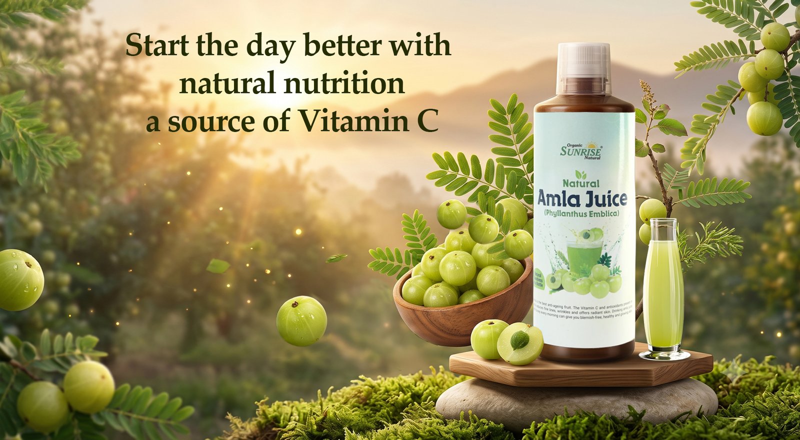 Amla Juice – Natural Immunity Booster for Skin, Hair & Digestion | Sunrise Agriland Amla Juice – Natural Immunity Booster for Skin, Hair & Digestion | Sunrise Agriland